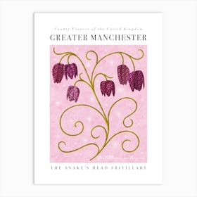 County Flower of Greater Manchester The Snake's Head Fritillary Art Print