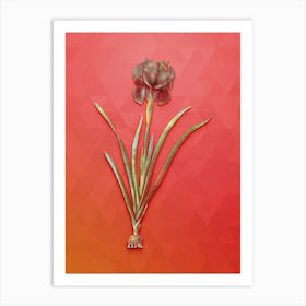 Vintage Mourning Iris Botanical Art on Fiery Red n.1178 Art Print