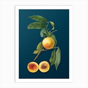 Vintage Peach Botanical Art on Teal Blue n.0123 Art Print