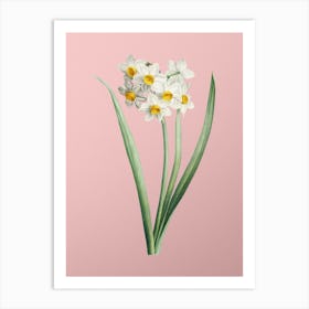 Vintage Narcissus Easter Flower Botanical on Soft Pink n.0516 Art Print