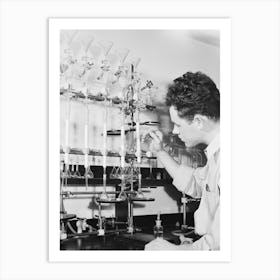 G F Bailey, Scientific Aide, At Work On Carotene Test Of Dehydrated Vegetables At The Regional Agricultural Research Art Print