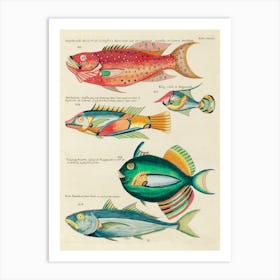 Colourful And Surreal Illustrations Of Fishes Found In Moluccas (Indonesia) And The East Indies, Louis Renard(67) Art Print