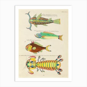 Colourful And Surreal Illustrations Of Fishes And Other Marine Life Found In Moluccas (Indonesia) And The East Indies, Louis Renard(47) Art Print
