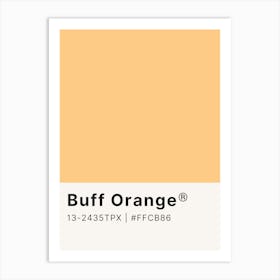 Buff Orange Art Print