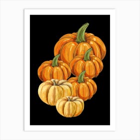 Pumpkins On Black Background Art Print