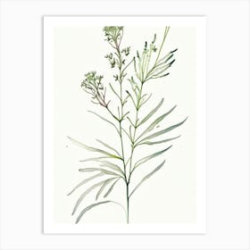 Valerian Herb Minimalist Watercolour 2 Art Print