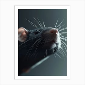 Black Rat Art Print