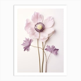 Pressed Flower Botanical Art Anemone 2 Affiche