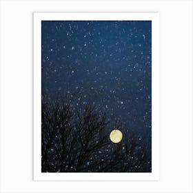 Winter Moon Art Print