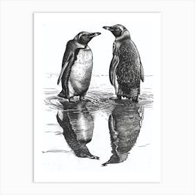 King Penguin Admiring Their Reflections 3 Art Print