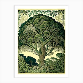 Atherton Tableland S Curtain Fig Tree, Australia Vintage Botanical 1jpeg Art Print