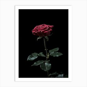 Single Red Rose On Black Background 7 Art Print