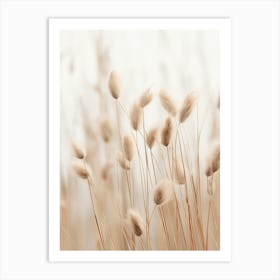 Boho Dried Flowers Flax Flower 1 Art Print