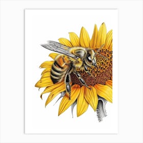 Colletidae Bee Storybook Illustration 9 Art Print