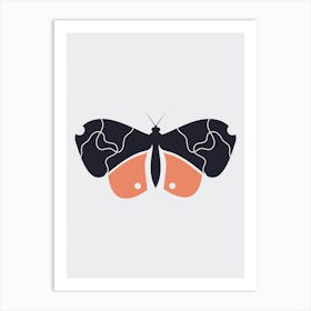 Buttefly Art Poster Art Print