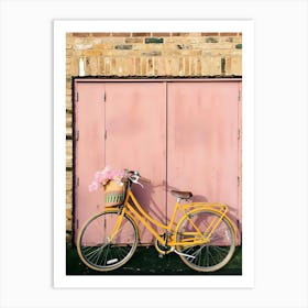 Bicycle In Front Of A Pink Door Art Print