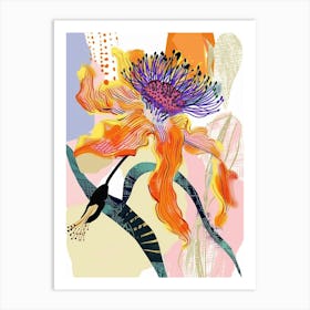 Colourful Flower Illustration Calendula 1 Art Print