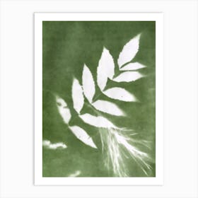 Shadows Of A Leaf Art Print