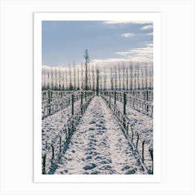 Unitltled 14 - Snow in the Vineyard Series Art Print