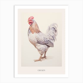 Vintage Bird Drawing Chicken 2 Poster Art Print