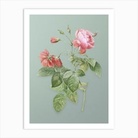 Vintage Pink Boursault Rose Botanical Art on Mint Green n.0931 Art Print