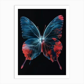 Butterfly 13 Art Print