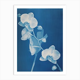 Floral II Art Print