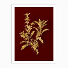 Vintage Garden Sage Botanical in Gold on Red n.0111 Art Print