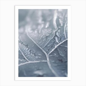 Frost On A Leaf 1 Art Print