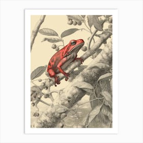 Red Tree Frog Vintage Botanical 7 Art Print