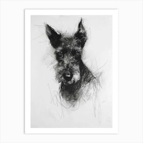 Lakeland Terrier Dog Charcoal Line 3 Art Print