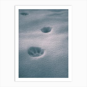 Paw In Blue Snow Art Print