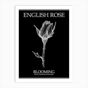 English Rose Blooming Line Drawing 1 Poster Inverted Art Print