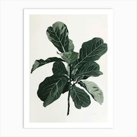 Fig Leaf Art Print