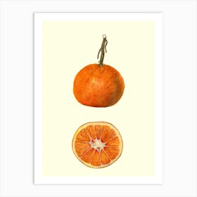 Oranges Art Print