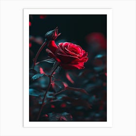 Red Rose Wallpaper 1 Art Print