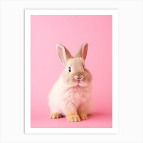 Cute Rabbit On Pink Background 1 Art Print