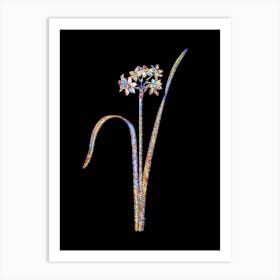 Stained Glass Cowslip Cupped Daffodil Mosaic Botanical Illustration on Black n.0090 Art Print