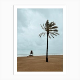 Palm Tree On The Beach, Cullera, Valencia Art Print