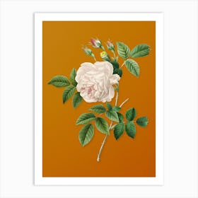 Vintage Rosa Indica Botanical on Sunset Orange Art Print