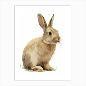 Jersey Wooly Rabbit Nursery Illustration 4 Art Print