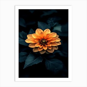 Orange Dahlia Flower 2 Art Print