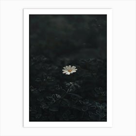 Flower In The Dark 84 Art Print