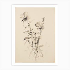 Flower Botanical Sketch Art Print