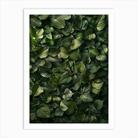 Ivy Leaves Background Art Print