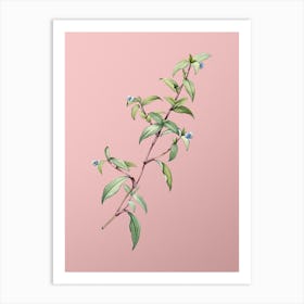 Vintage Birdbill Dayflower Botanical on Soft Pink n.0544 Art Print