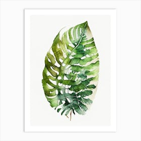 Shield Fern Watercolour Poster