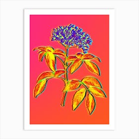 Neon Elderberry Flowering Plant Botanical in Hot Pink and Electric Blue n.0416 Art Print
