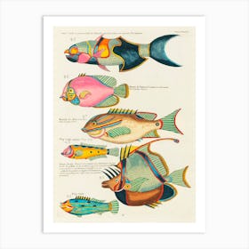 Colourful And Surreal Illustrations Of Fishes Found In Moluccas (Indonesia) And The East Indies, Louis Renard(66) Art Print