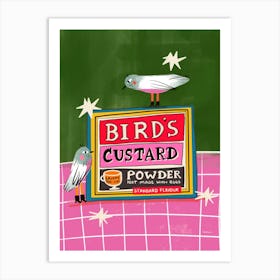 Vintage Food Birds Custard Powder Box 1 Art Print